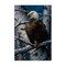 Stupell Industries America's Pride Bald Eagle Canvas By Tom Antonishak